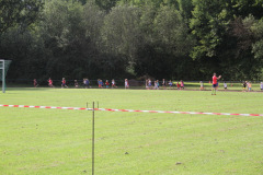strl19_0048_svga