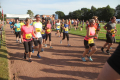 strl19_0175_svga