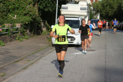 strl19_1047_svga