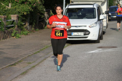 strl19_1050_svga