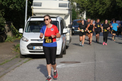 strl19_1052_svga