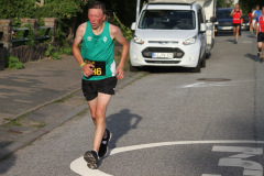 strl19_1251_svga