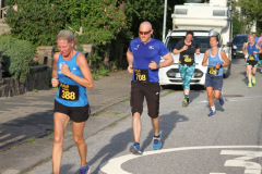 strl19_1394_svga