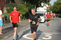 strl19_1415_svga