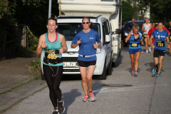 strl19_1455_svga