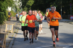 strl25_0595_svga
