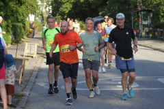 strl25_0599_svga