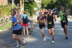strl25_0605_svga