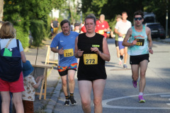 strl25_0609_svga
