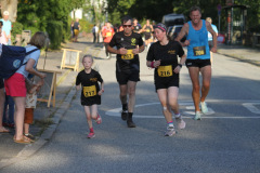 strl25_0640_svga