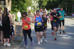 strl25_0661_svga