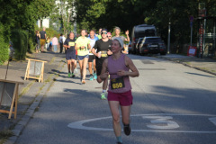strl25_0711_svga