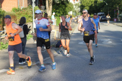 strl25_0800_svga