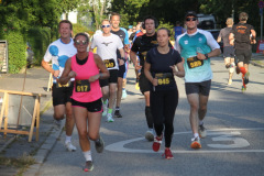 strl25_0829_svga