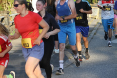 strl25_0887_svga