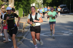 strl25_0967_svga
