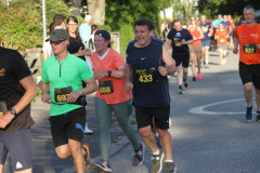 strl25_0977_svga