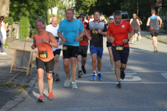 strl25_0988_svga