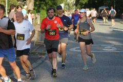 strl25_0991_svga