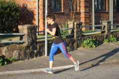 strl25_1290_svga