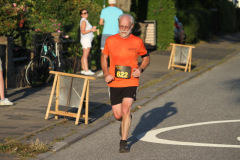 strl25_1460_svga