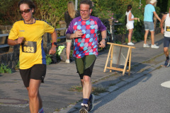 strl25_1491_svga