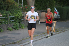 strl25_1584_svga