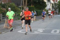 strl25_1595_svga